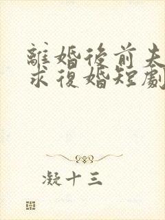 离婚后前夫日日求复婚短剧