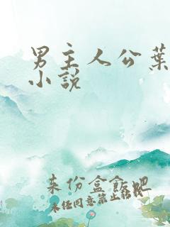 男主人公叶辰的小说