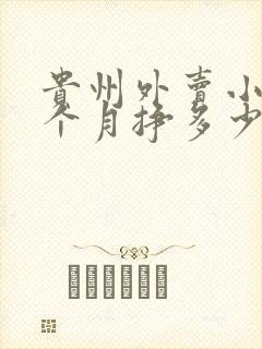 贵州外卖小哥一个月挣多少