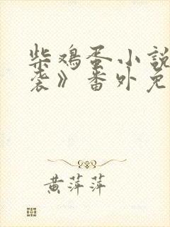 柴鸡蛋小说《逆袭》番外免费阅读