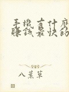 手机有什么可以赚钱最快的方法