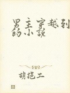 男主穿越到后宫的小说