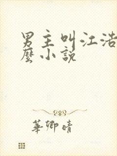 男主叫江浩是什么小说