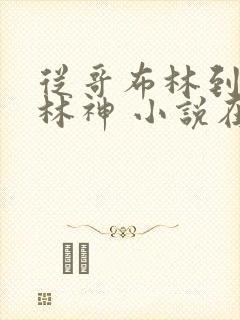 从哥布林到哥布林神 小说在线阅读