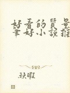 好看的质量高文笔好小说推荐