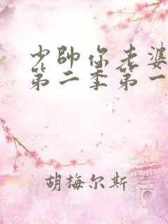 少帅你老婆跑了第二季第一集