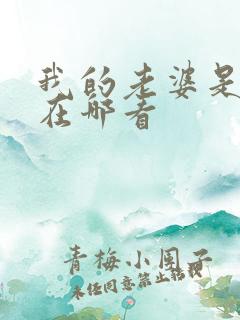 我的老婆是大佬在哪看