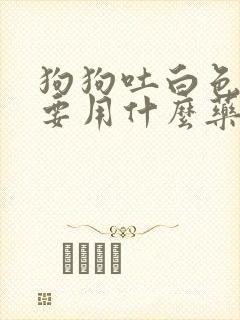 狗狗吐白色粘液要用什么药