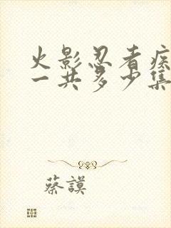 火影忍者疾风传一共多少集