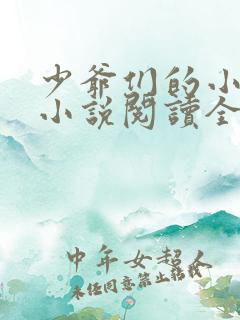 少爷们的小女仆小说阅读全文