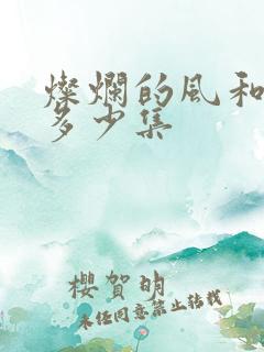 灿烂的风和海共多少集