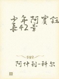 少年阿宾钰慧连长42章