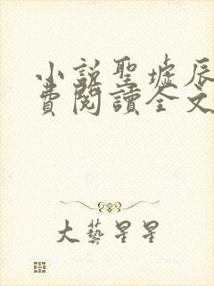 小说圣墟辰东免费阅读全文无窗口