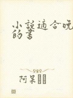 小说适合晚上看的书