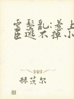 云鬓乱:惹上奸臣逃不掉小说阅读全部