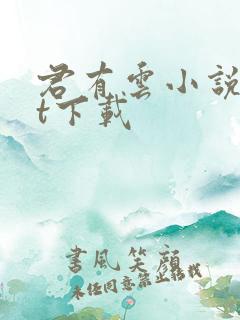 君有云小说txt下载