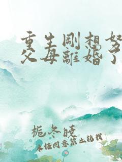 重生刚想努力,父母离婚了观看全集