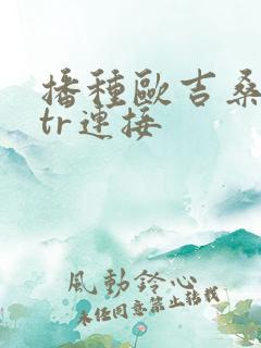 播种欧吉桑和ntr连接