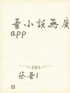 看小说无广告的app