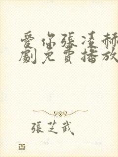 爱你张凌赫电视剧免费播放