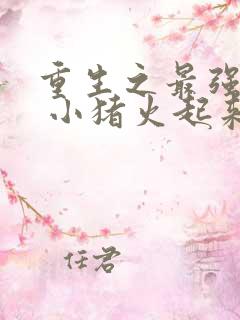 重生之最强人生 小猪火起来