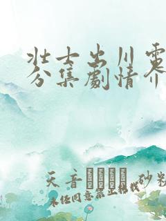 壮士出川电视剧分集剧情介绍