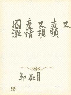 国产又爽又黄的激情视频