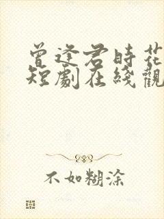 曾逢君时花照眼短剧在线观看全集