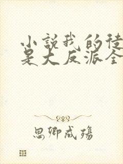 小说我的徒弟都是大反派全文在线阅读