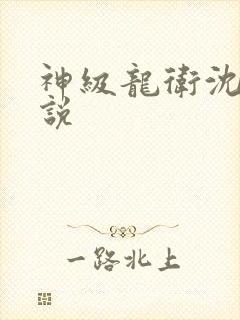 神级龙卫沈浪小说