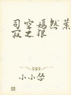 司空嫣然叶凡孤寂之狼