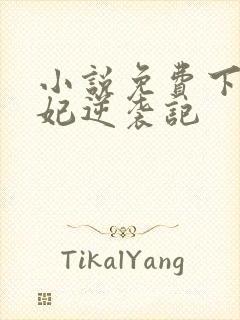 小说免费下堂王妃逆袭记