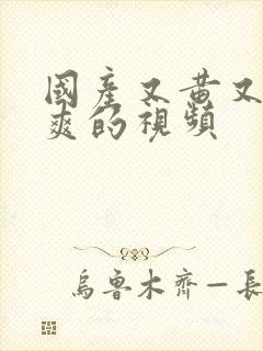 国产又黄又骚又爽的视频