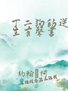 丁二狗的逆袭人生有声书