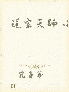 道家天师 小说