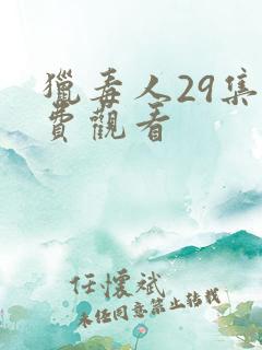 猎毒人29集免费观看