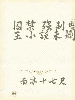 囚禁 强制双男主小说未删