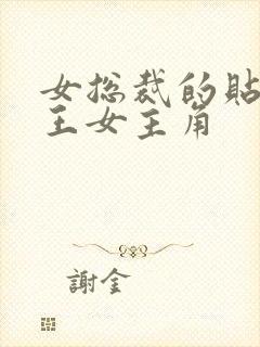 女总裁的贴身兵王女主角