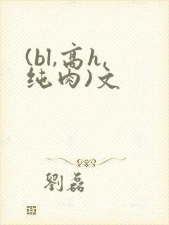 (bl,高h,纯肉)文