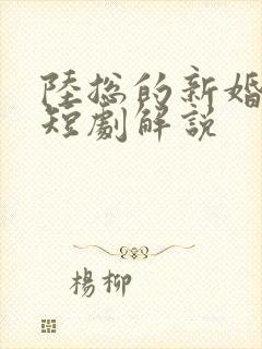 陆总的新婚哑妻短剧解说