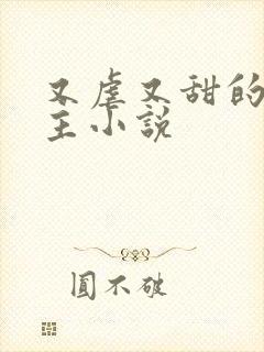 又虐又甜的双男主小说