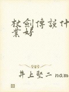 杖剑传说什么职业好