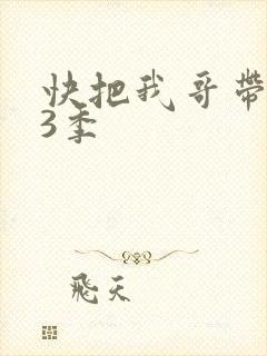 快把我哥带走第3季
