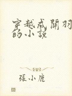 穿越成关羽儿子的小说