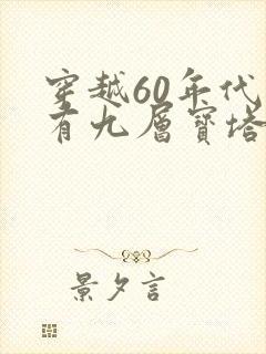 穿越60年代我有九层宝塔空间