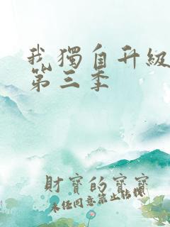 我独自升级动画第三季