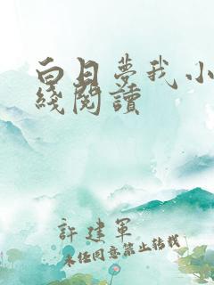 白日梦我小说在线阅读