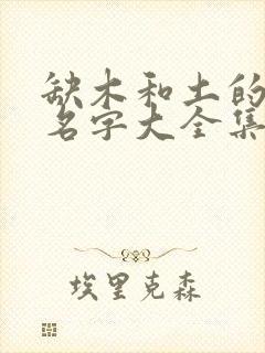 缺木和土的男孩名字大全集