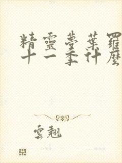 精灵梦叶罗丽第十一季什么时候更新