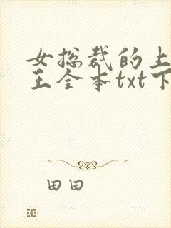 女总裁的上门兵王全本txt下载